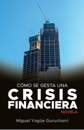 COMO SE GESTA UNA CRISIS FINANCIERA - 9788412640779
